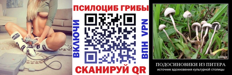 наркошоп  Апшеронск  Галлюциногенные грибы мухоморы 