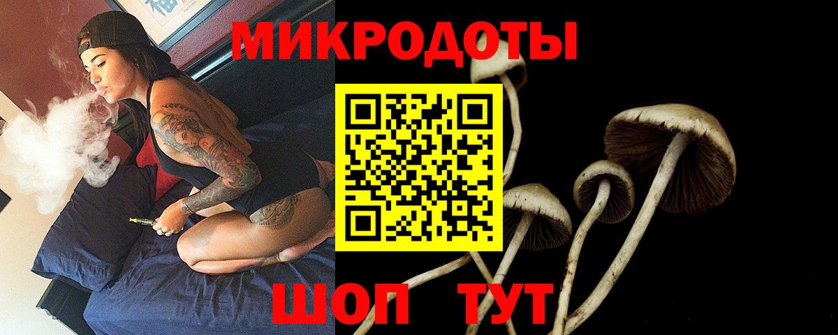 Псилоцибиновые грибы мицелий Апшеронск